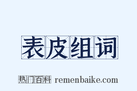 表皮组词是什么意思的图片